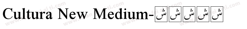 Cultura New Medium字体转换